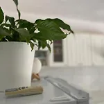 Aleric * ماكارسكا