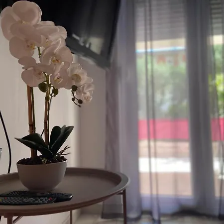 Apartman Aleric *